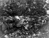 Kernstown battlefield